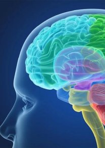 Профилактика инсульта,  