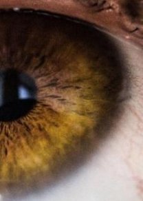 Антибактериальная терапия,  