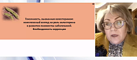 Статины и почки. Современный взгляд на терапию пациентов с ХБП